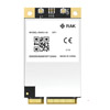 WisLink LPWAN   : RAK5146-226 WisLink   LPWAN USB LBT GPS EU868 mPCIe