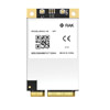 WisLink LPWAN   : RAK5146-225 WisLink   LPWAN USB Non LBT GPS EU868 mPCIe